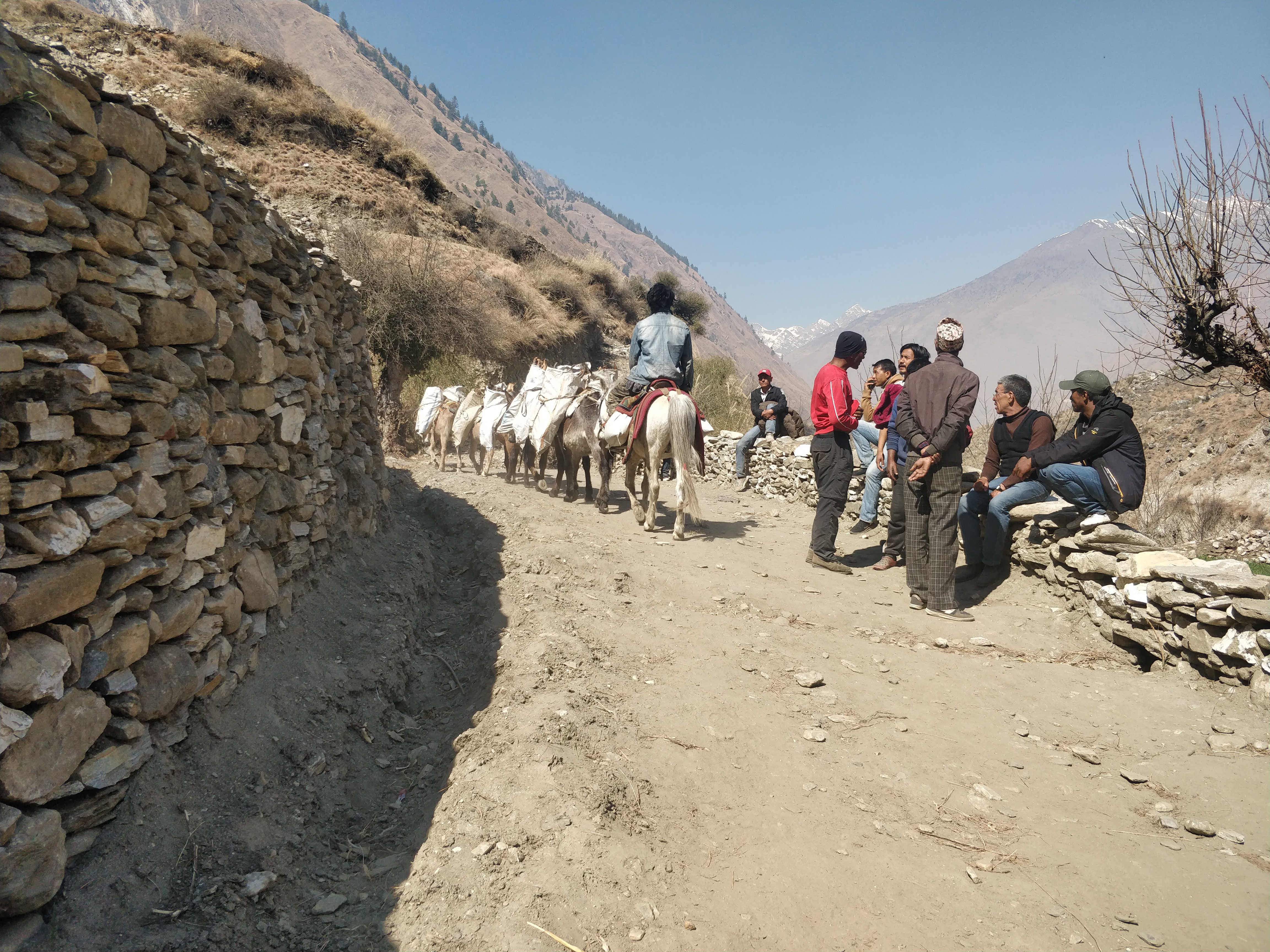 उपल्लो दुनै देखी जेरीगडसम्मको ग्रामिण कृषि सडक